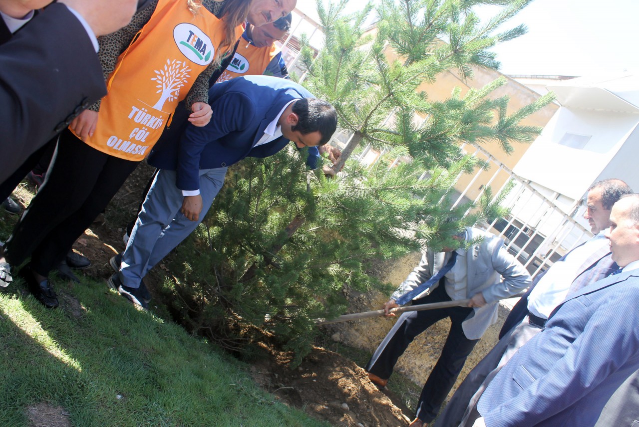 Kelkit’te su israfı anlatıldı, fidan dikildi 16