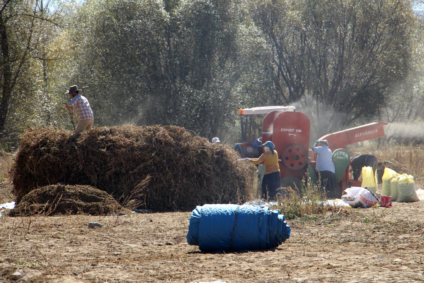 Köse’nin yeni gelir kapısı kuru fasulye oldu 2