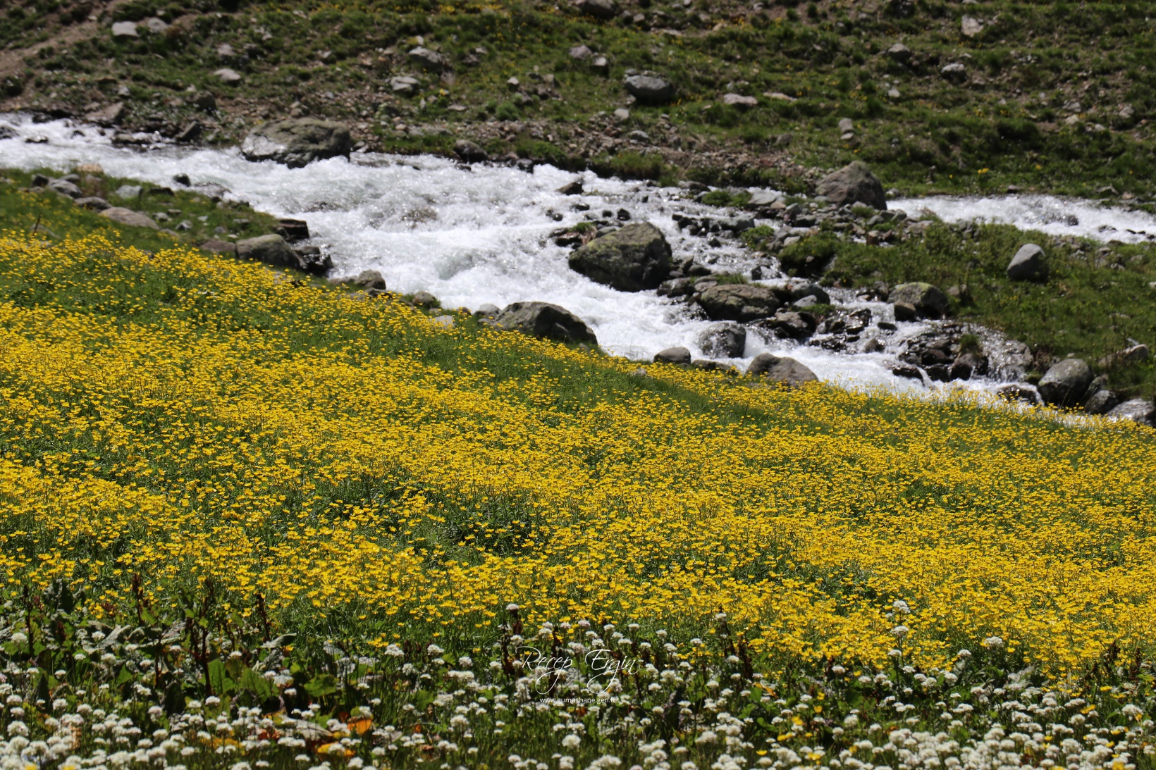 Abdalmusa Zirvesi'nin eteklerinde bir doğa harikası: Dulağa Yaylası 26