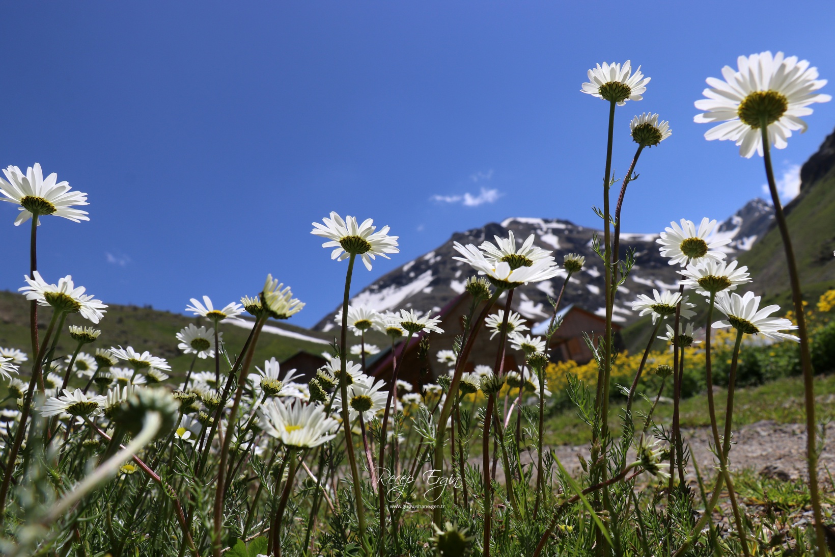 Abdalmusa Zirvesi'nin eteklerinde bir doğa harikası: Dulağa Yaylası 6