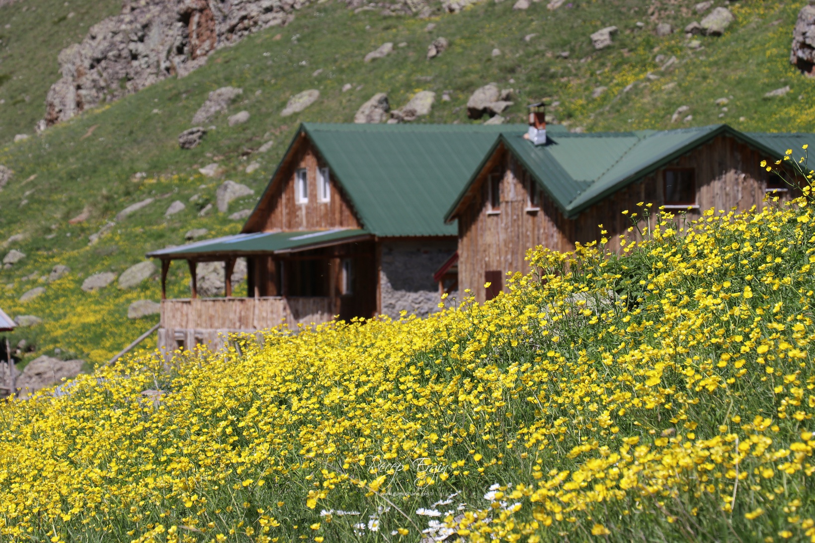 Abdalmusa Zirvesi'nin eteklerinde bir doğa harikası: Dulağa Yaylası 16