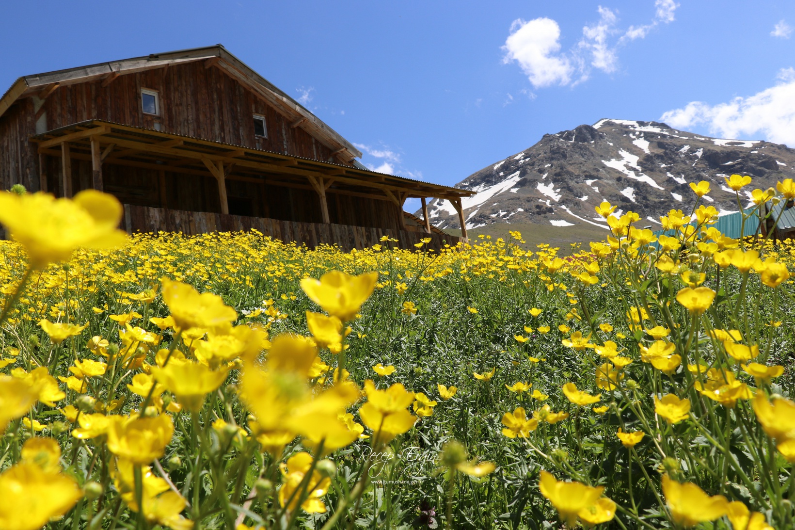 Abdalmusa Zirvesi'nin eteklerinde bir doğa harikası: Dulağa Yaylası 11