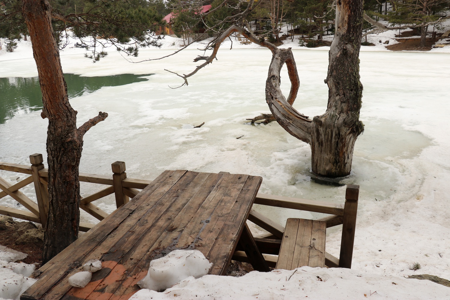 Limni gölünde sezon hızlı başladı 40