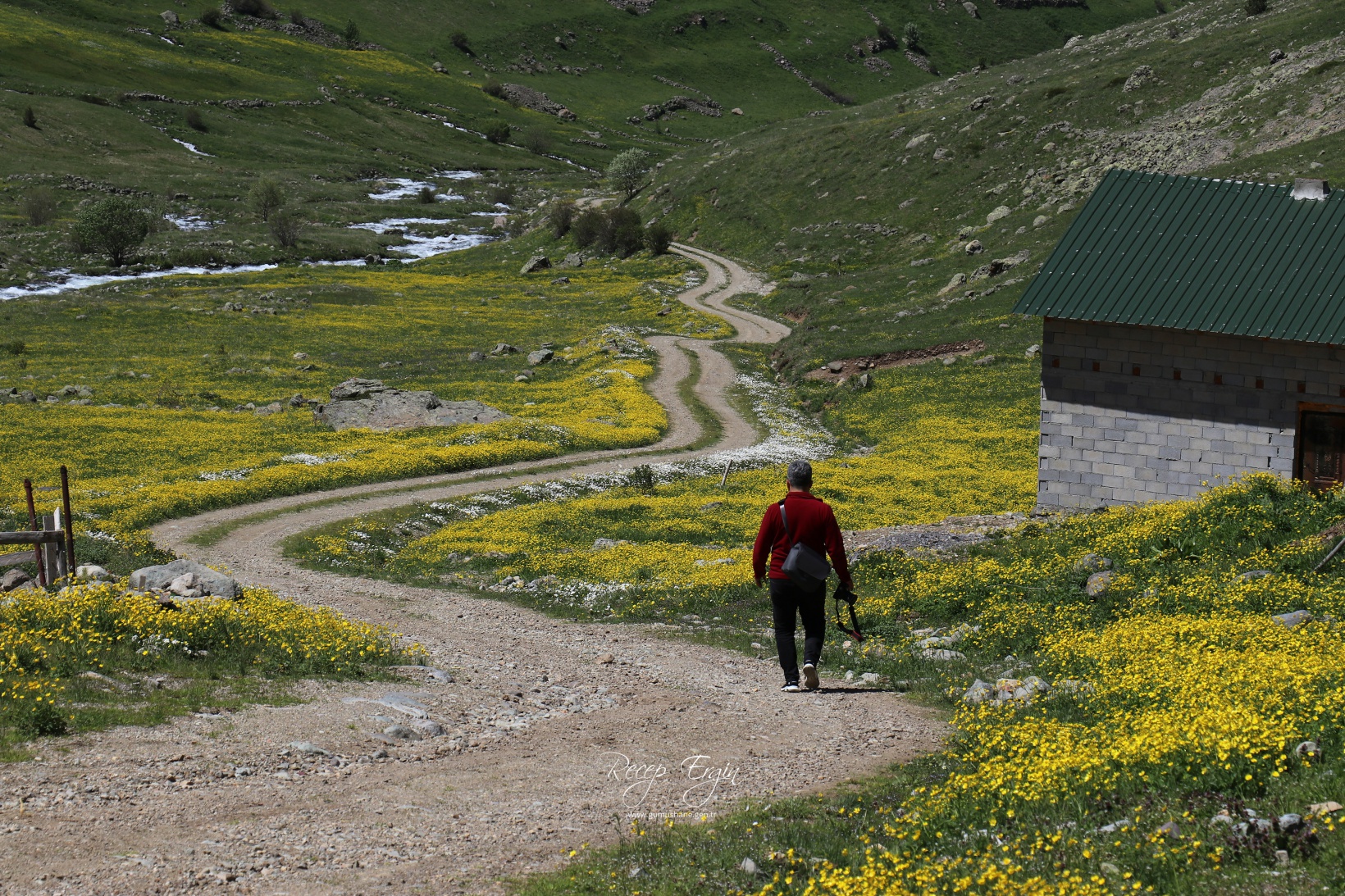 Abdalmusa Zirvesi'nin eteklerinde bir doğa harikası: Dulağa Yaylası 31