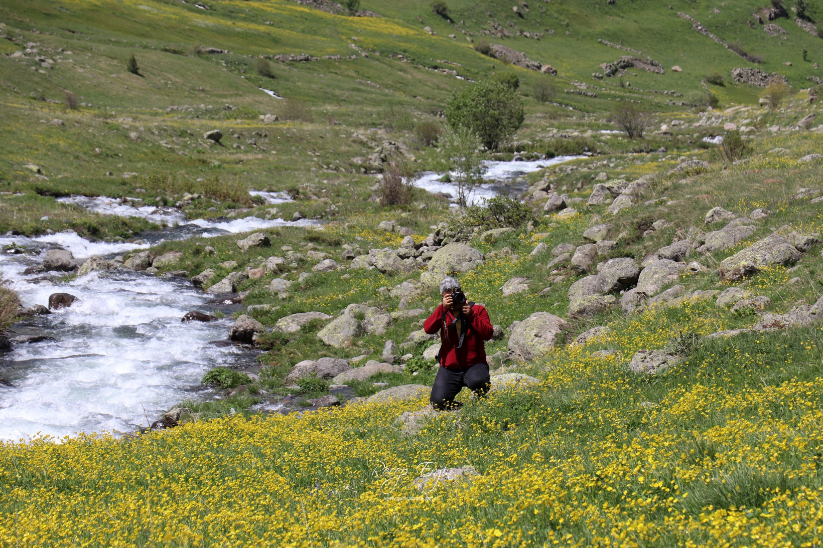 Abdalmusa Zirvesi'nin eteklerinde bir doğa harikası: Dulağa Yaylası 21