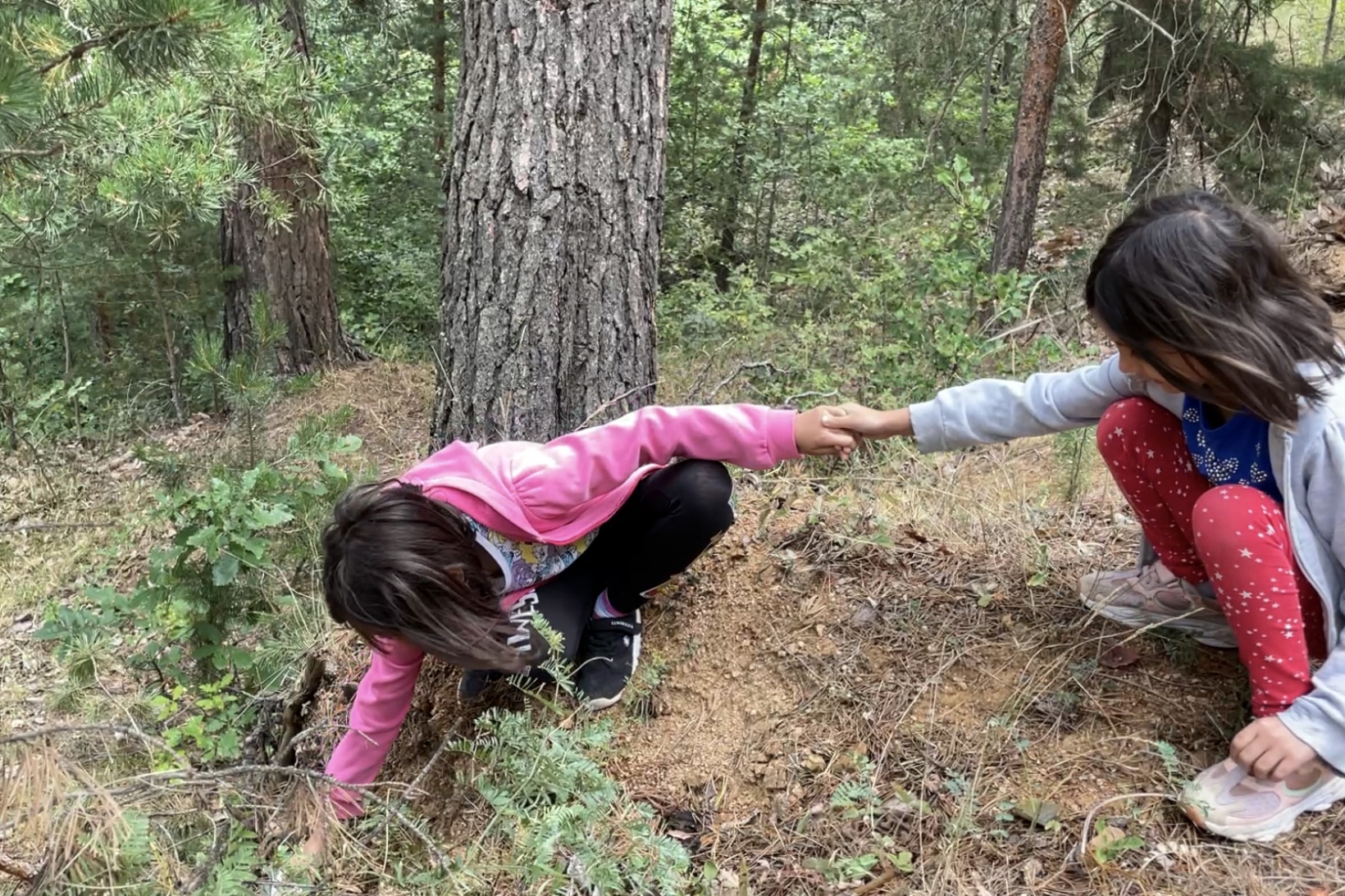 Gümüşhane ormanlarında şişe seferberliği 6