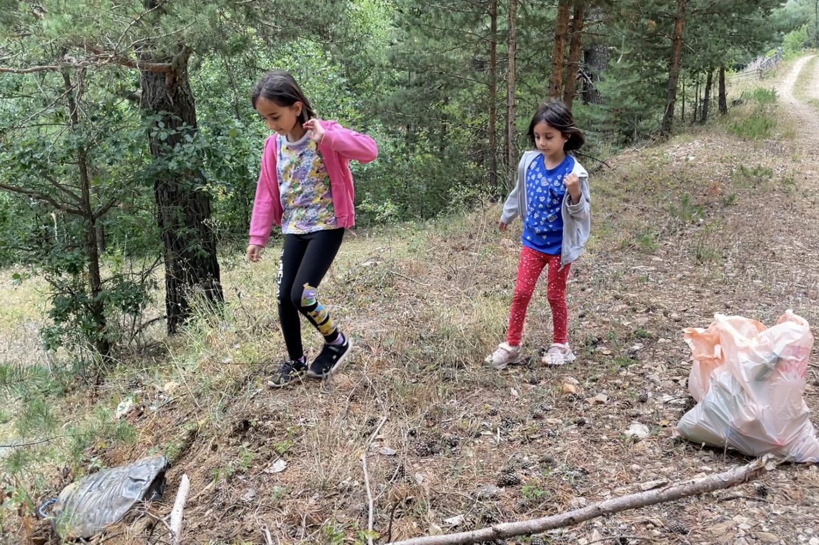 Gümüşhane ormanlarında şişe seferberliği 4