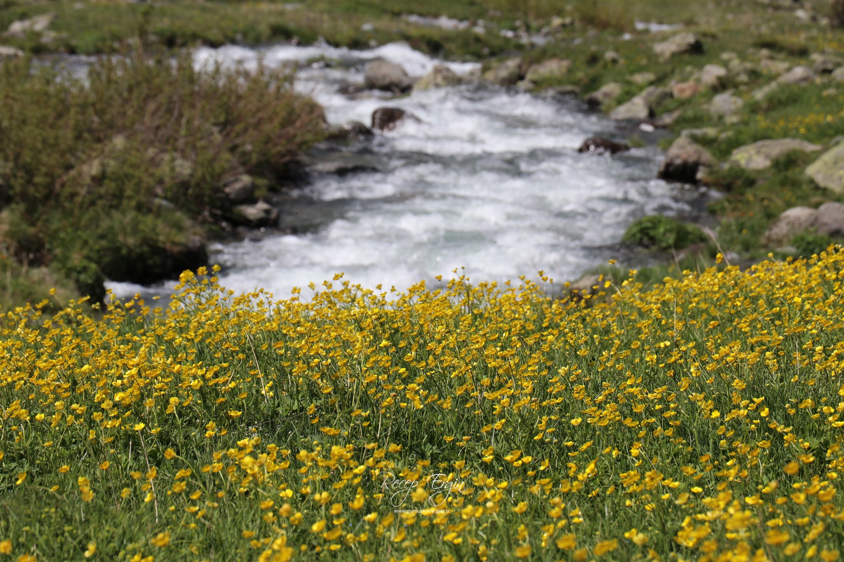 Abdalmusa Zirvesi'nin eteklerinde bir doğa harikası: Dulağa Yaylası 10