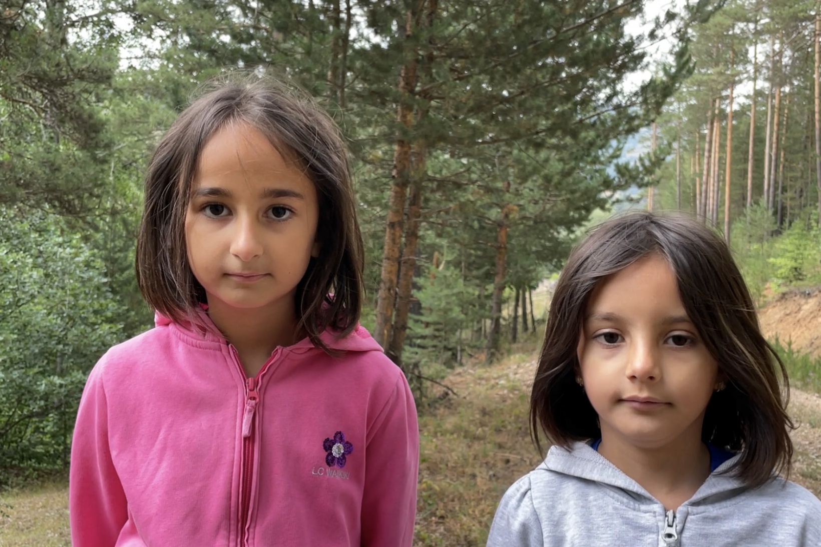 Gümüşhane ormanlarında şişe seferberliği 2