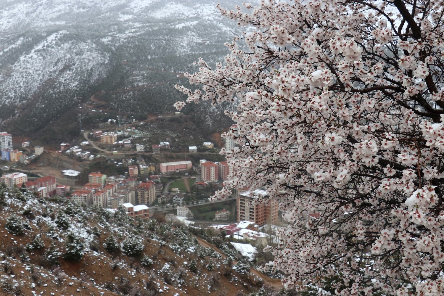 Gümüşhane 21 Nisan'da beyaza büründü 21