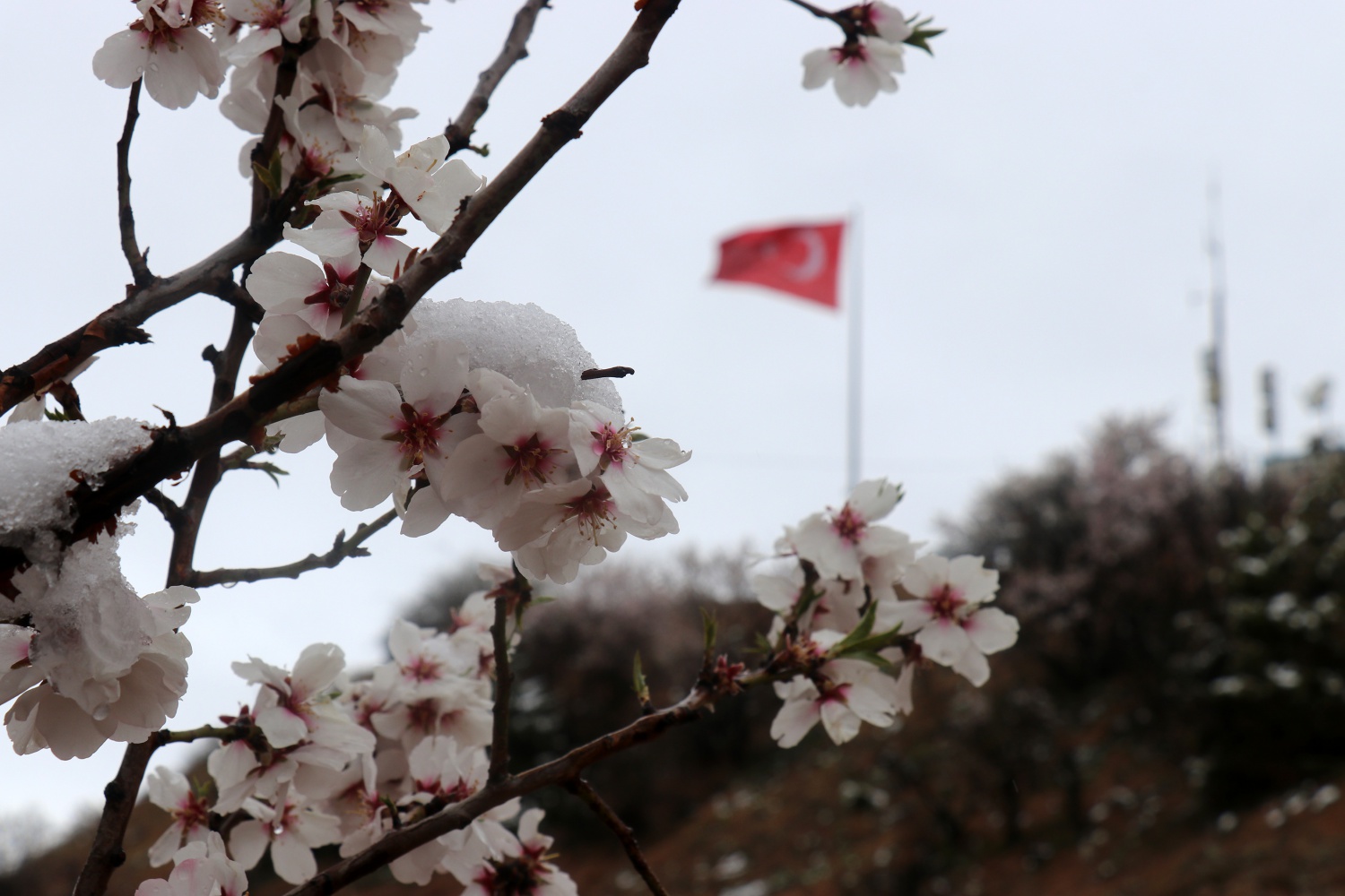 Gümüşhane 21 Nisan'da beyaza büründü 7