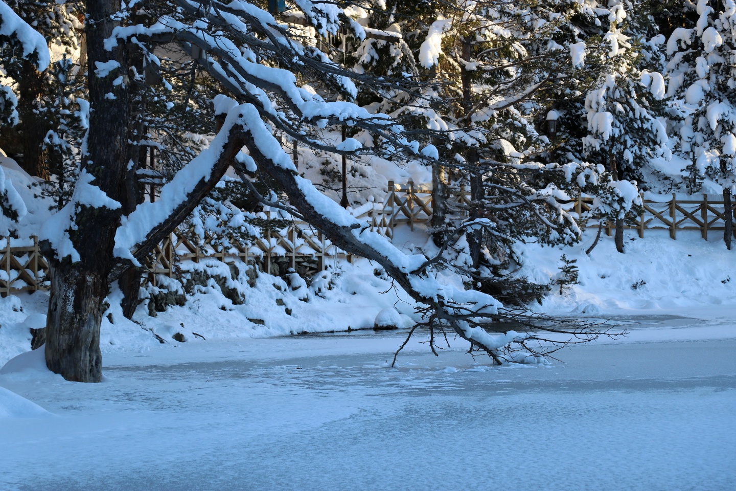 Limni Gölü Tabiat Parkı yazın güzel, kışın başka güzel 23