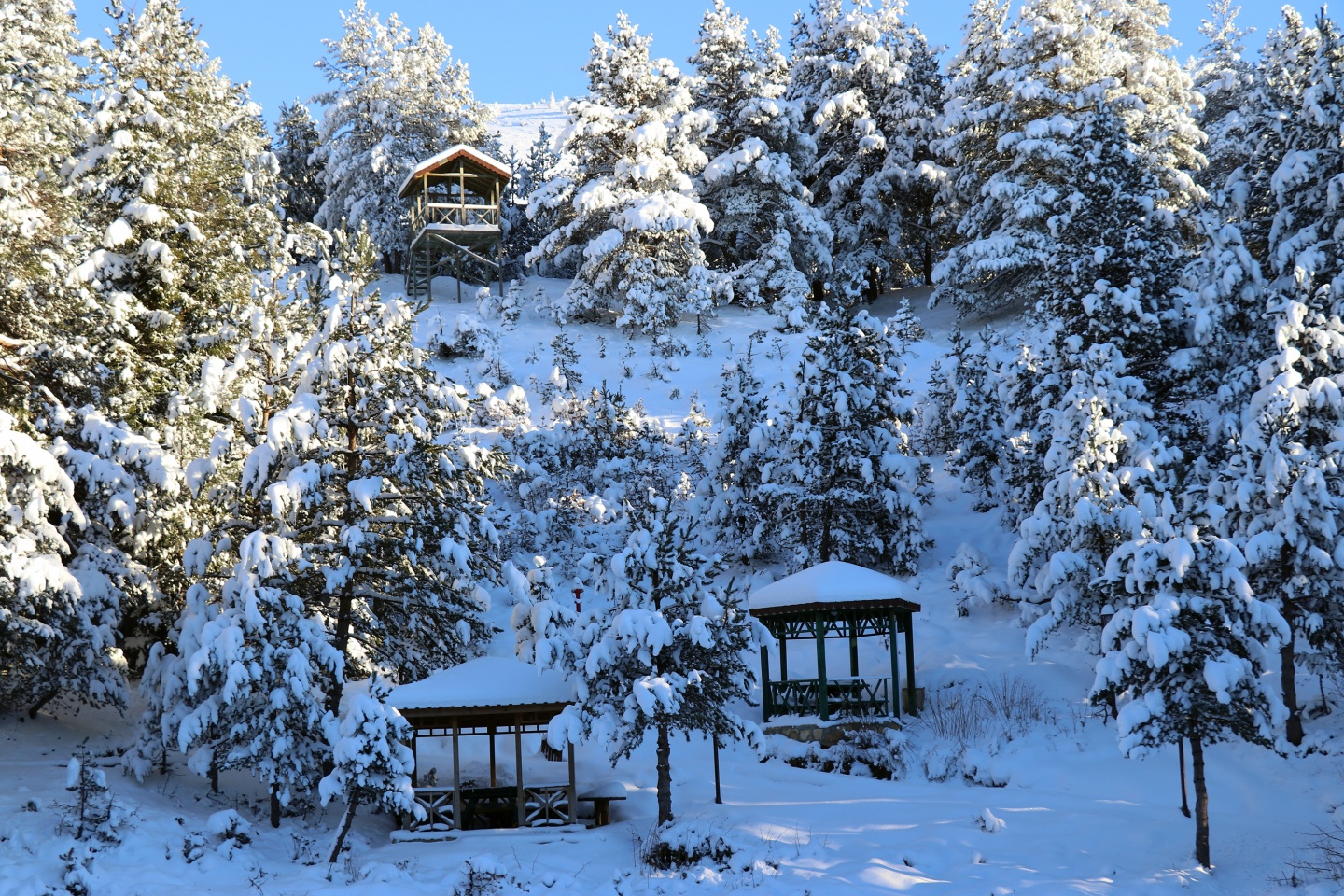 Limni Gölü Tabiat Parkı yazın güzel, kışın başka güzel 27