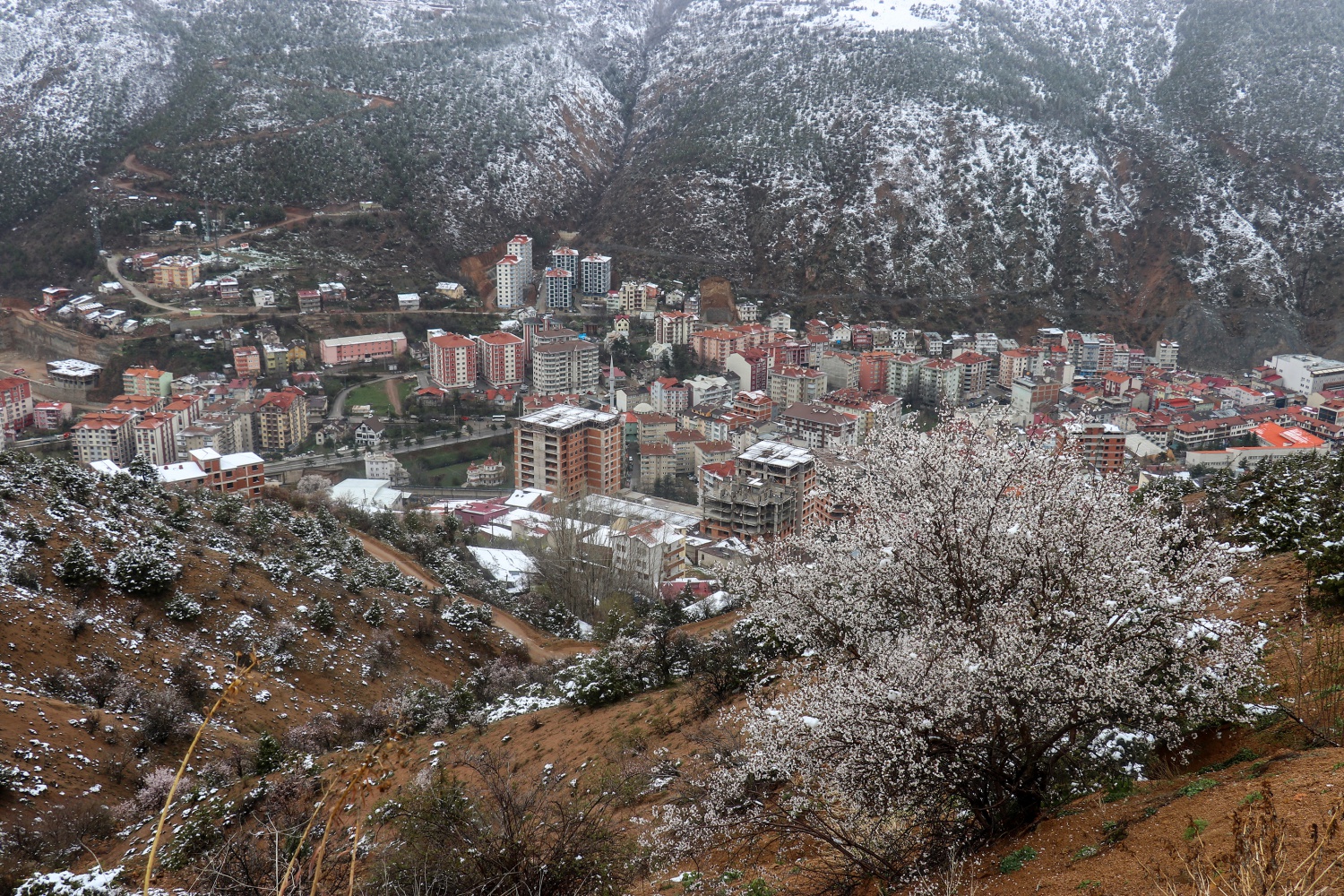Gümüşhane 21 Nisan'da beyaza büründü 26