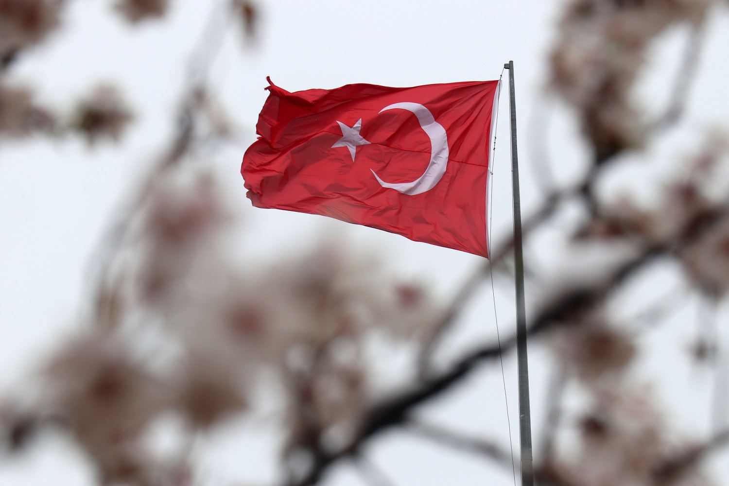 Gümüşhane 21 Nisan'da beyaza büründü 6