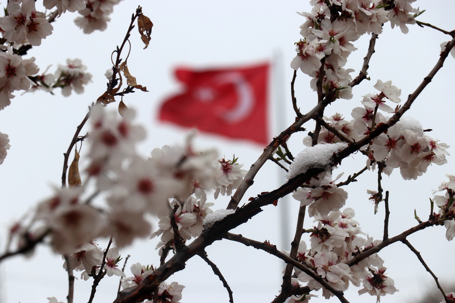 Gümüşhane 21 Nisan'da beyaza büründü 11