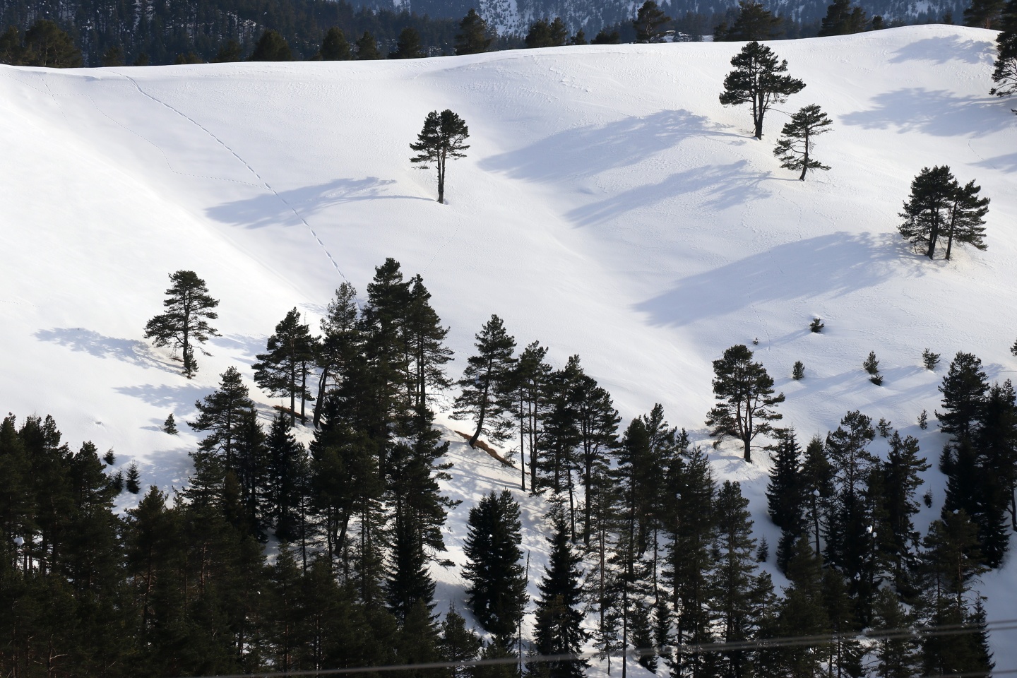 Zigana Dağında kayak sezonu bereketli bitti 12
