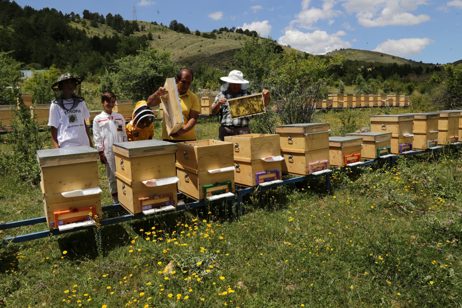 Gümüşhane'den ekonomiye yıllık 1,5 milyon liralık katkı sağlanacak 21