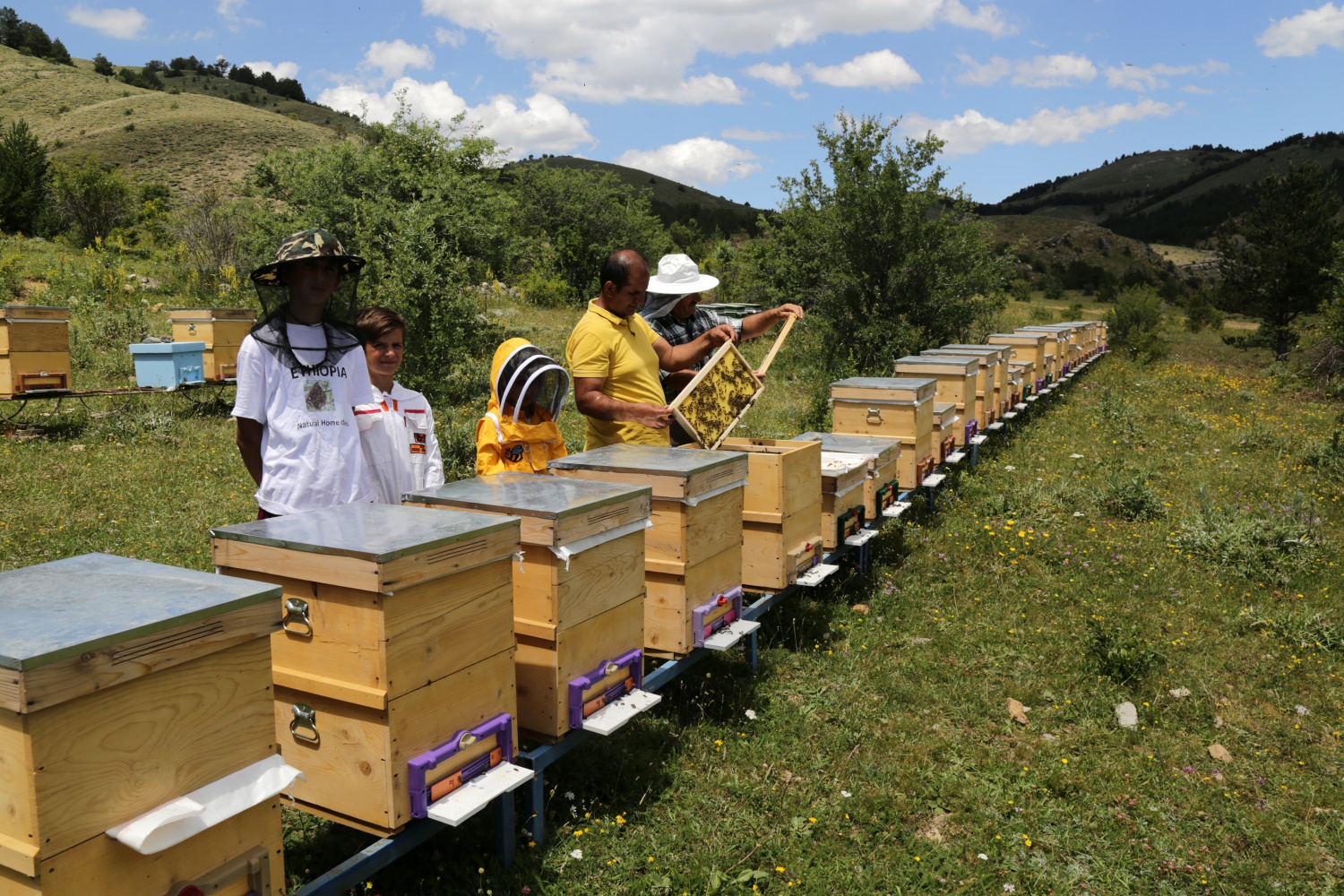 Gümüşhane'den ekonomiye yıllık 1,5 milyon liralık katkı sağlanacak 14