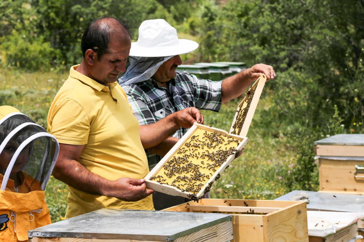 Gümüşhane'den ekonomiye yıllık 1,5 milyon liralık katkı sağlanacak 24