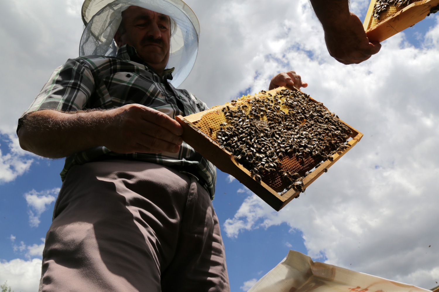 Gümüşhane'den ekonomiye yıllık 1,5 milyon liralık katkı sağlanacak 13