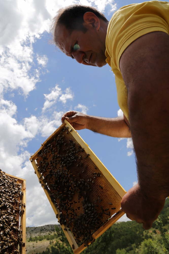 Gümüşhane'den ekonomiye yıllık 1,5 milyon liralık katkı sağlanacak 9