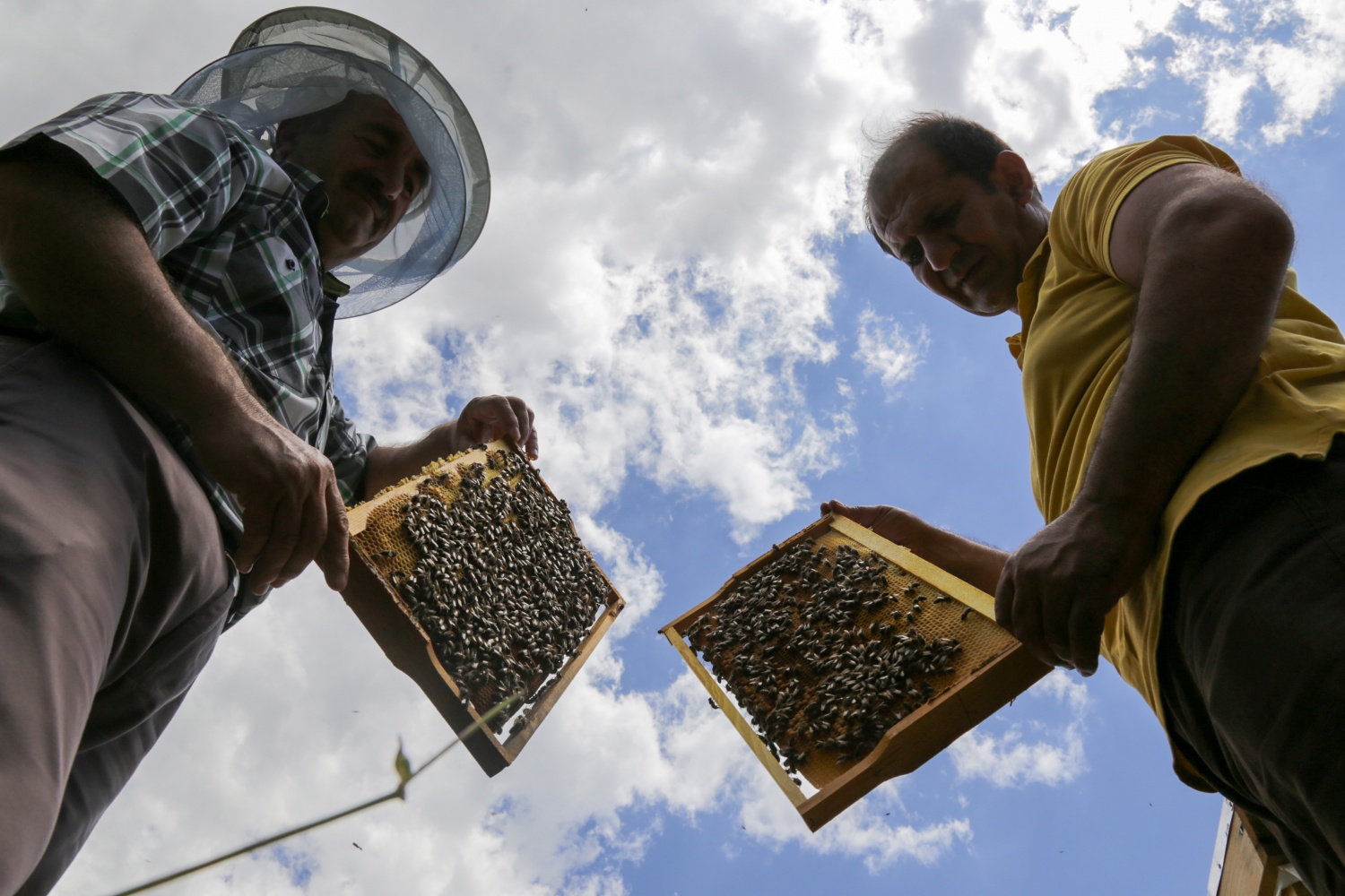 Gümüşhane'den ekonomiye yıllık 1,5 milyon liralık katkı sağlanacak 28