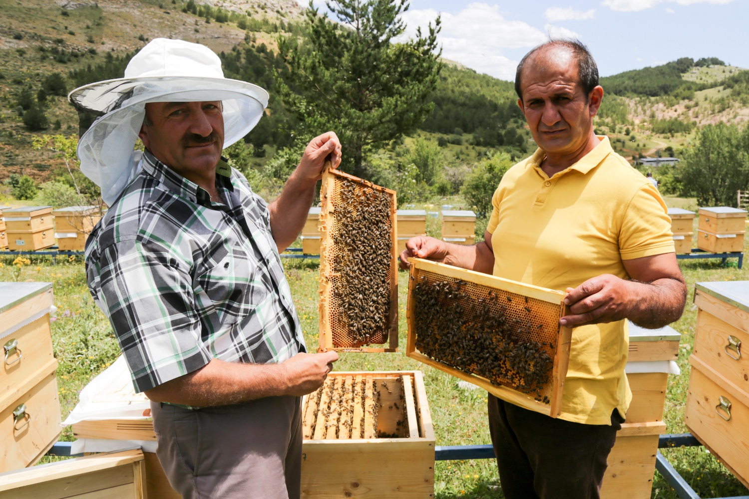 Gümüşhane'den ekonomiye yıllık 1,5 milyon liralık katkı sağlanacak 18