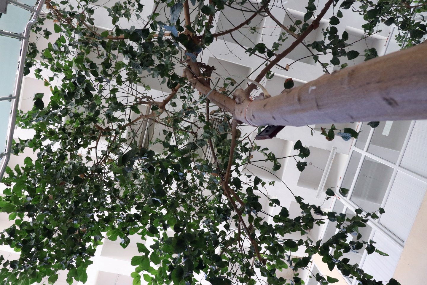 Bu kütüphanenin bir benzeri daha yok 6