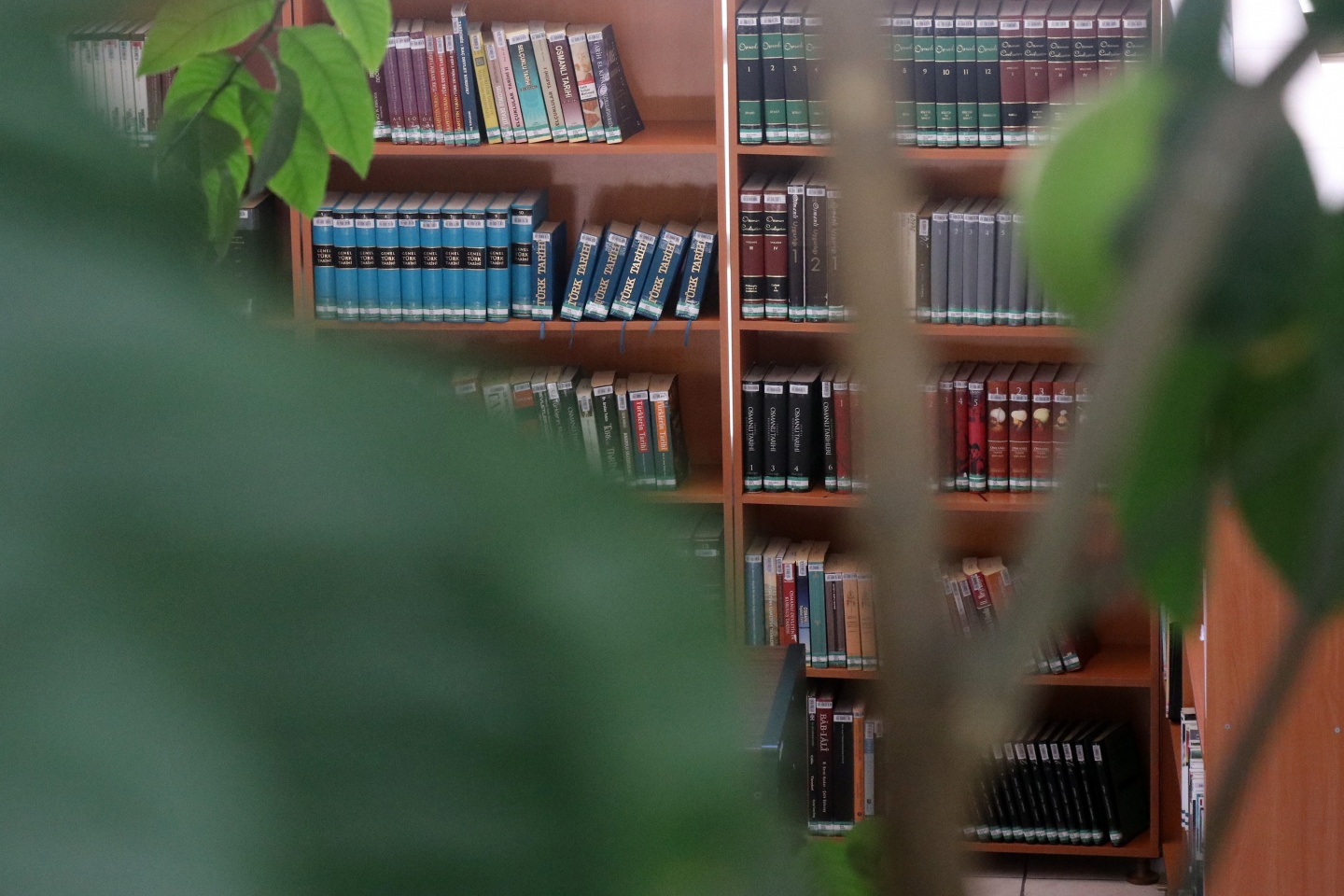 Bu kütüphanenin bir benzeri daha yok 5