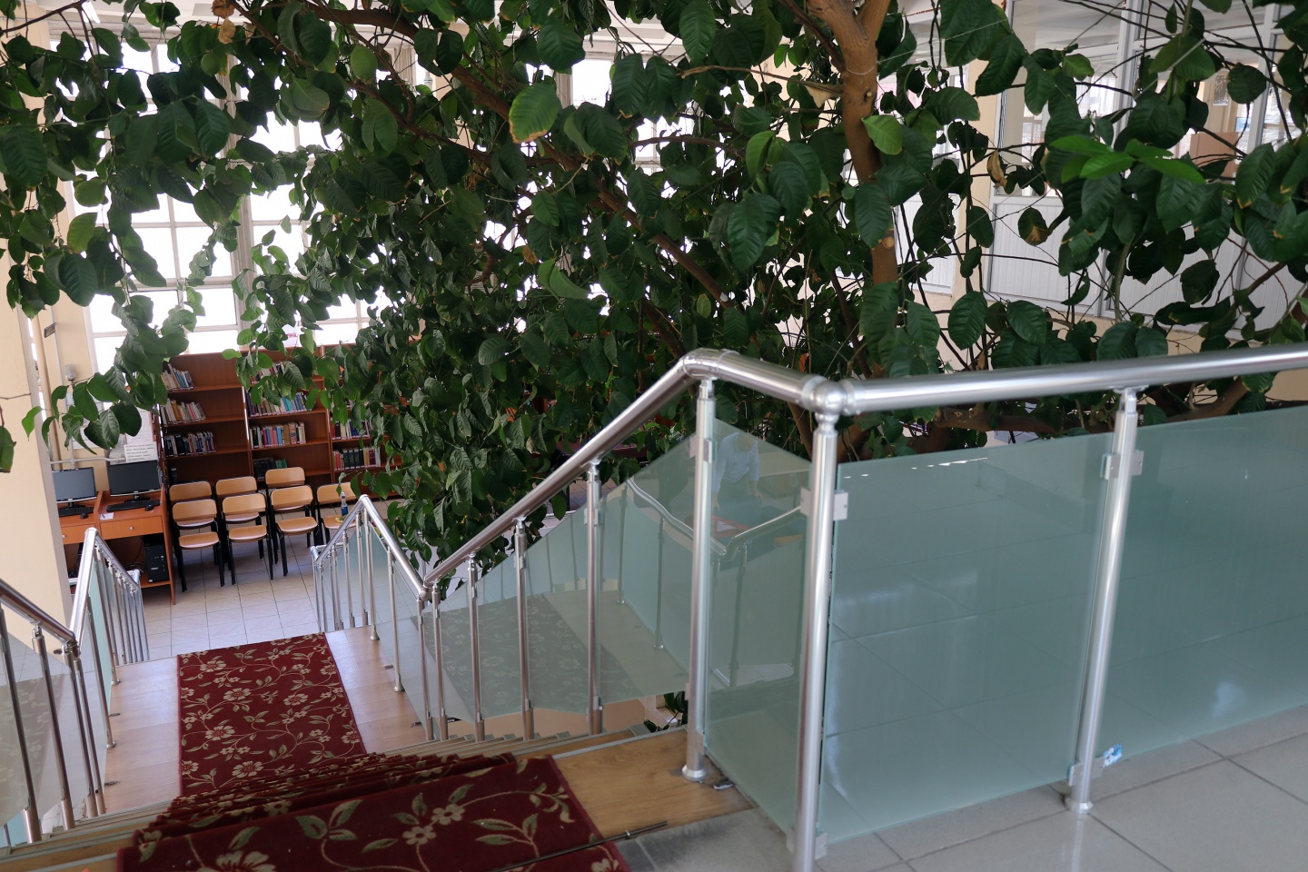 Bu kütüphanenin bir benzeri daha yok 3