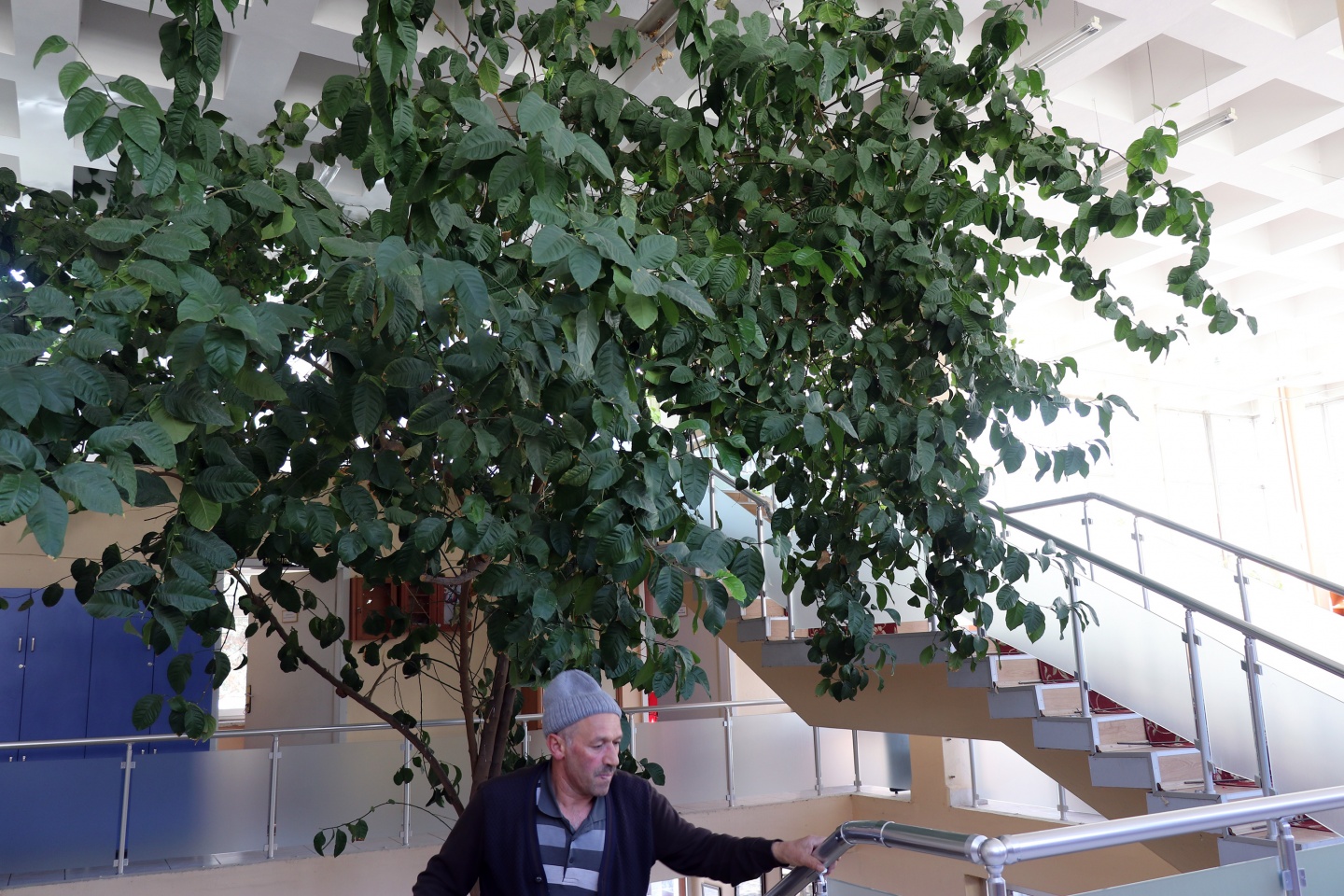 Bu kütüphanenin bir benzeri daha yok 2