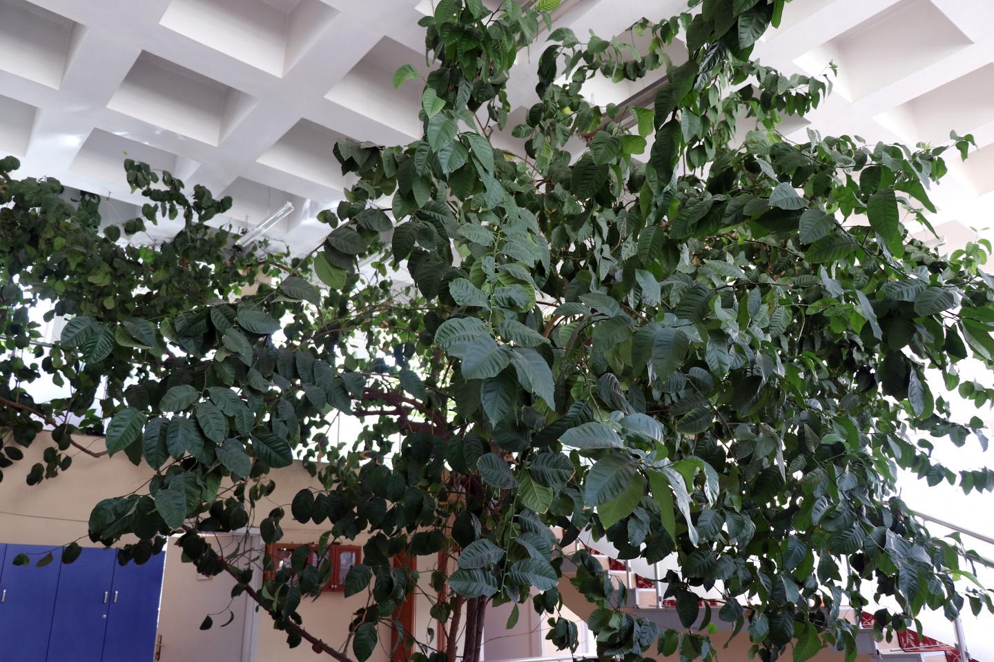 Bu kütüphanenin bir benzeri daha yok 8