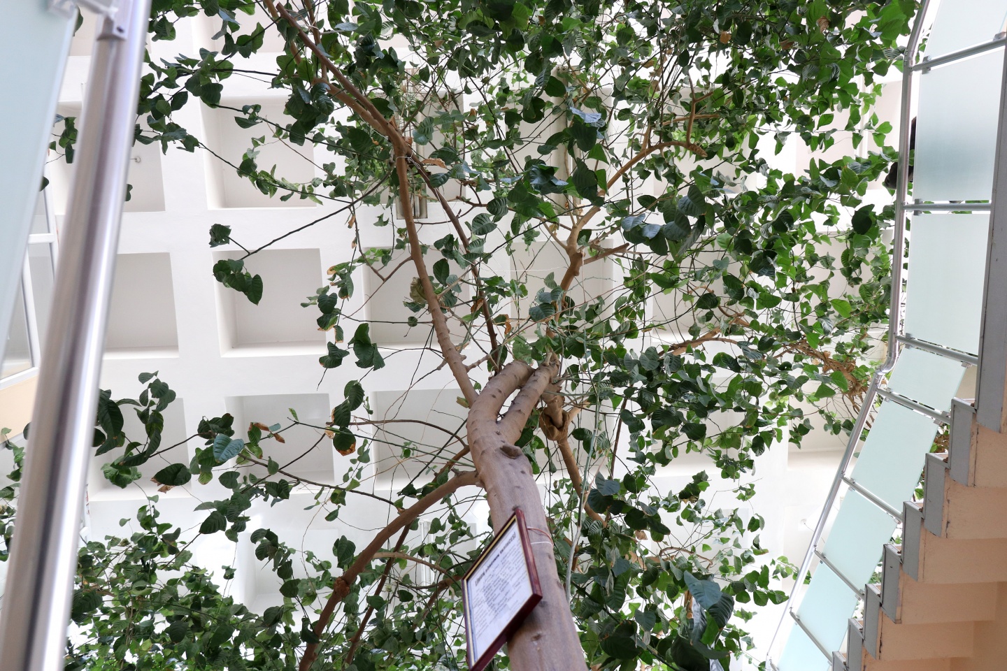 Bu kütüphanenin bir benzeri daha yok 13