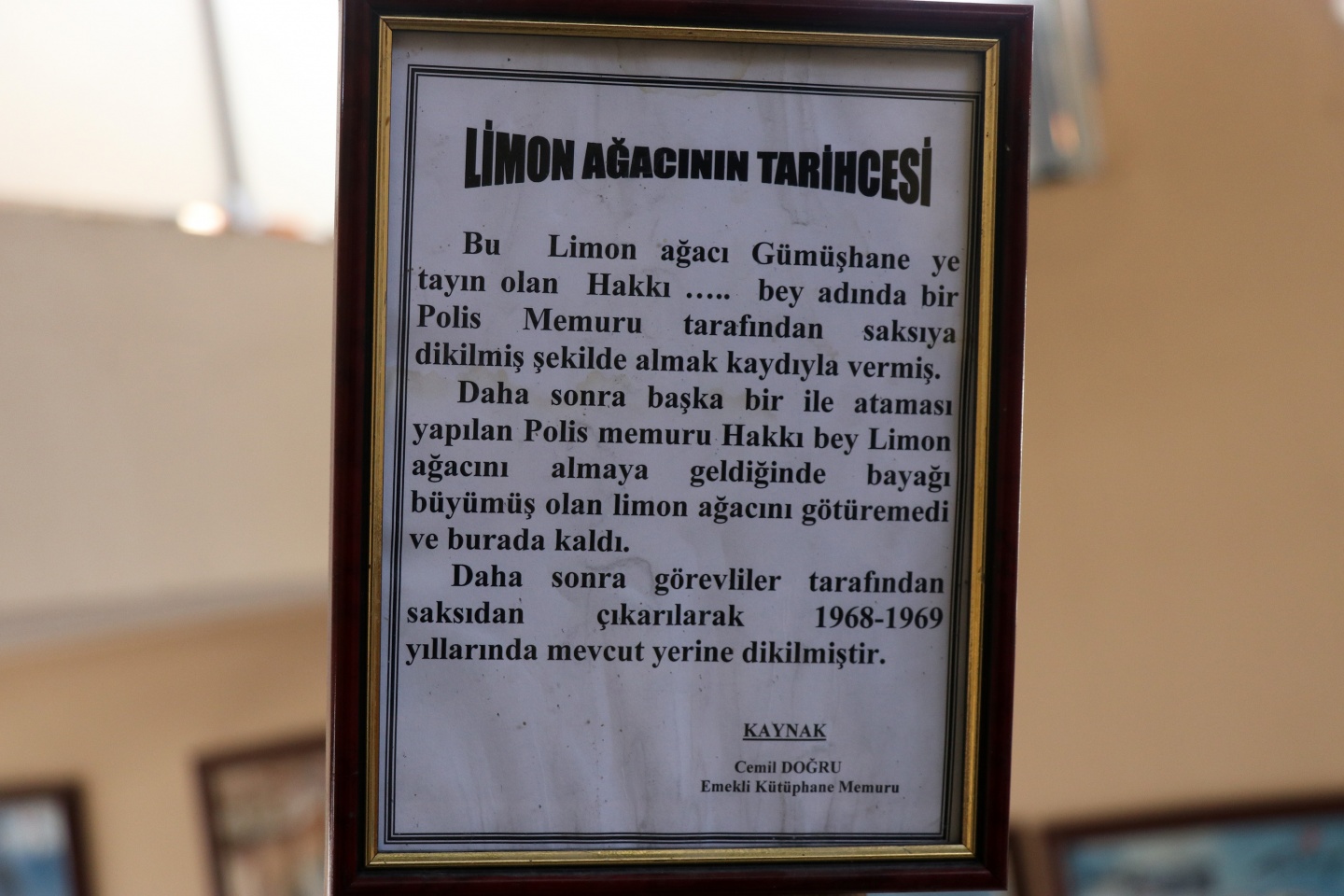 Bu kütüphanenin bir benzeri daha yok 14