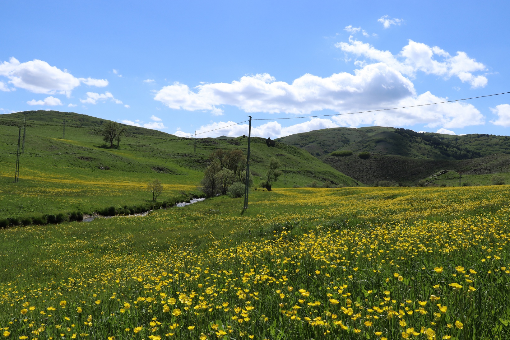 Sarıçiçek Köyü'nde 20 günlük doğa şöleni başladı 7