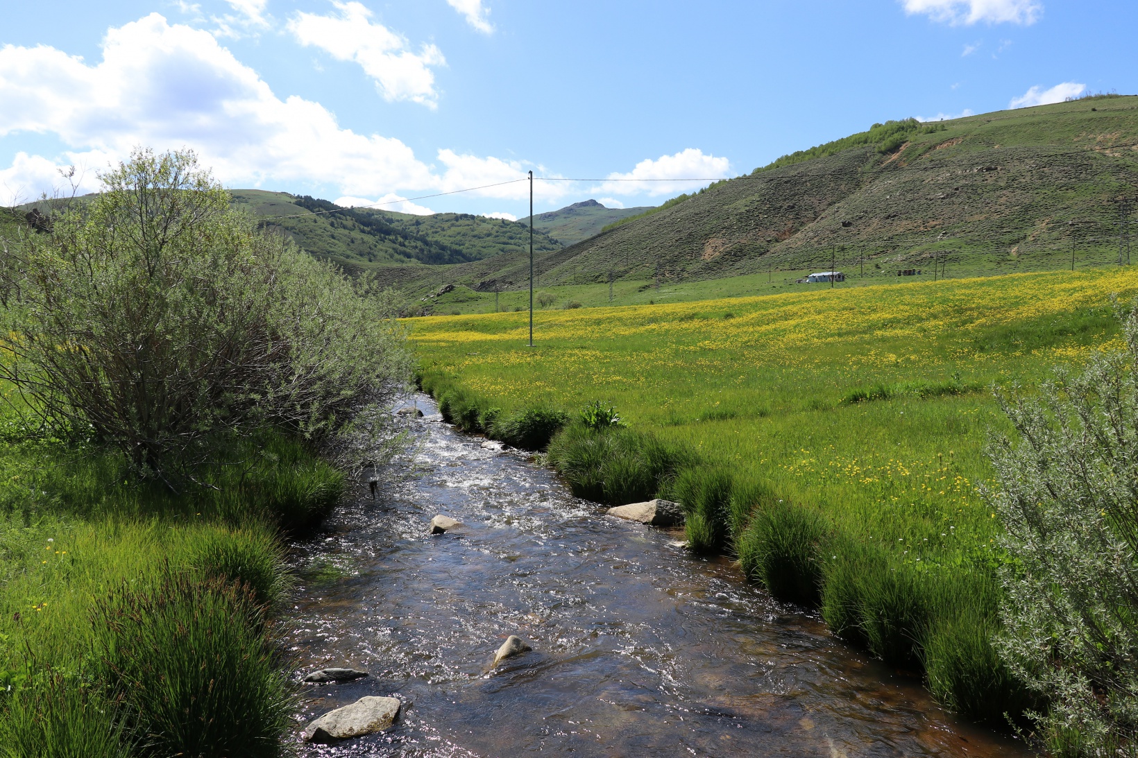 Sarıçiçek Köyü'nde 20 günlük doğa şöleni başladı 14