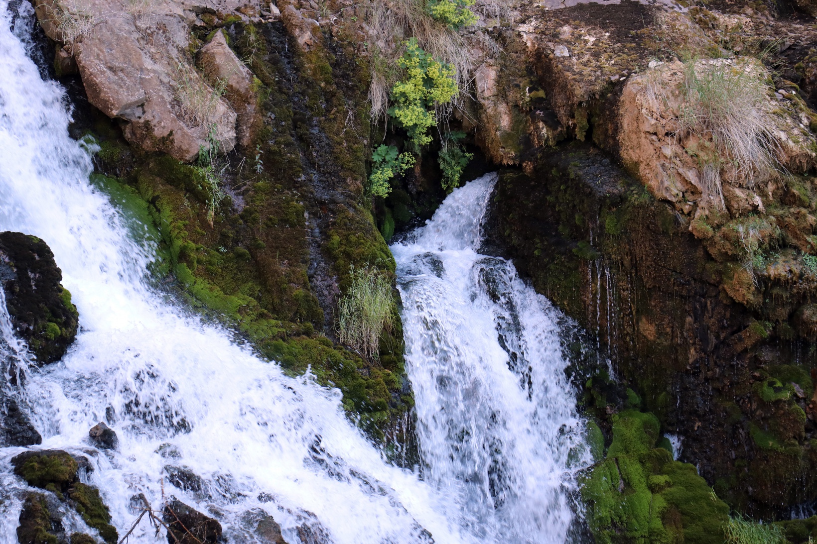 Serinlemek isteyen Tomara Şelalesi’nin yolunu tutuyor 9