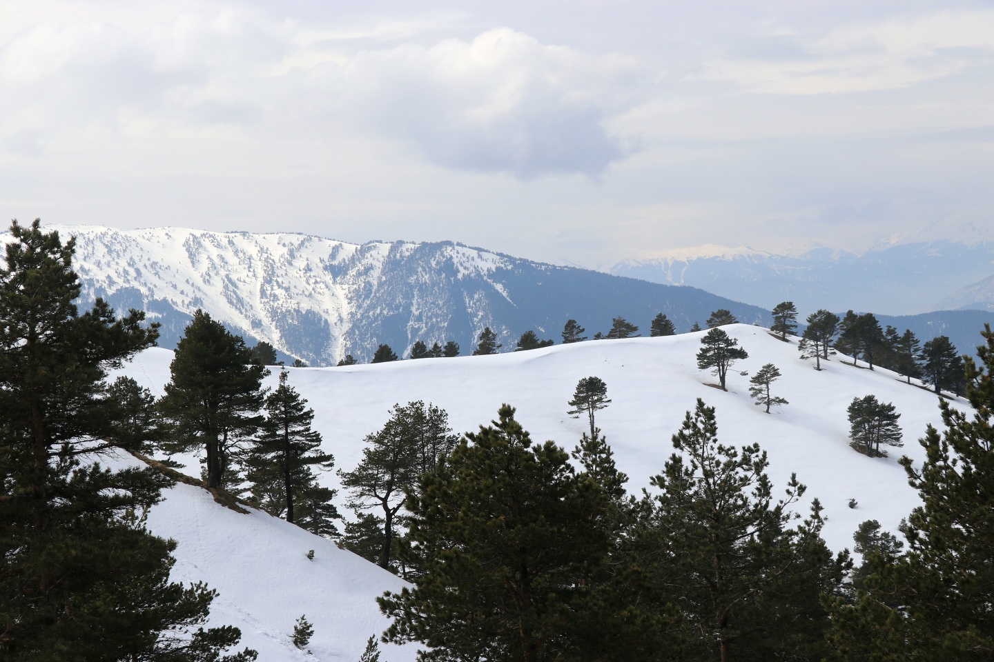 AFAD ekiplerinden Zigana'da nefes kesen tatbikat 41