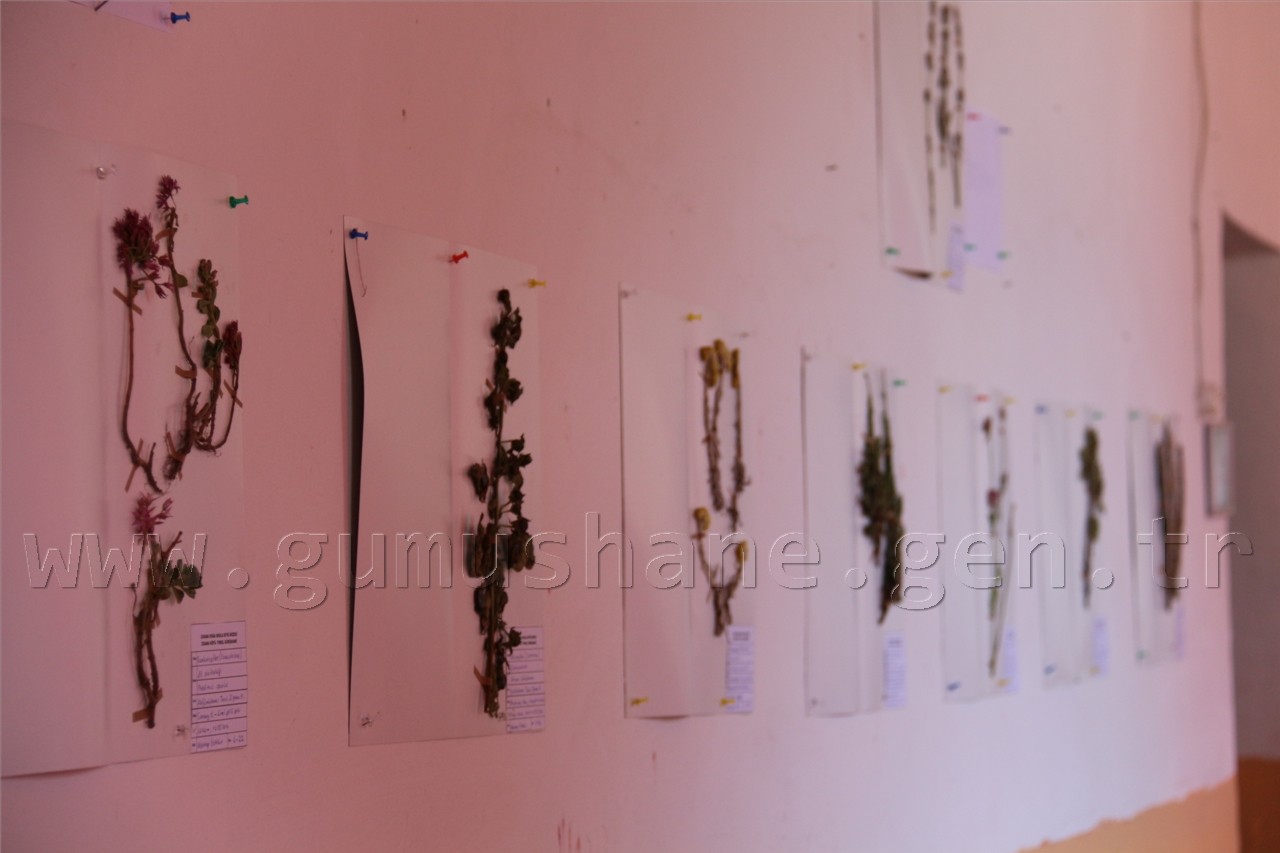 Türkiye’nin 3. Herbaryum Bitki Müzesi Zigana'da Açıldı 4