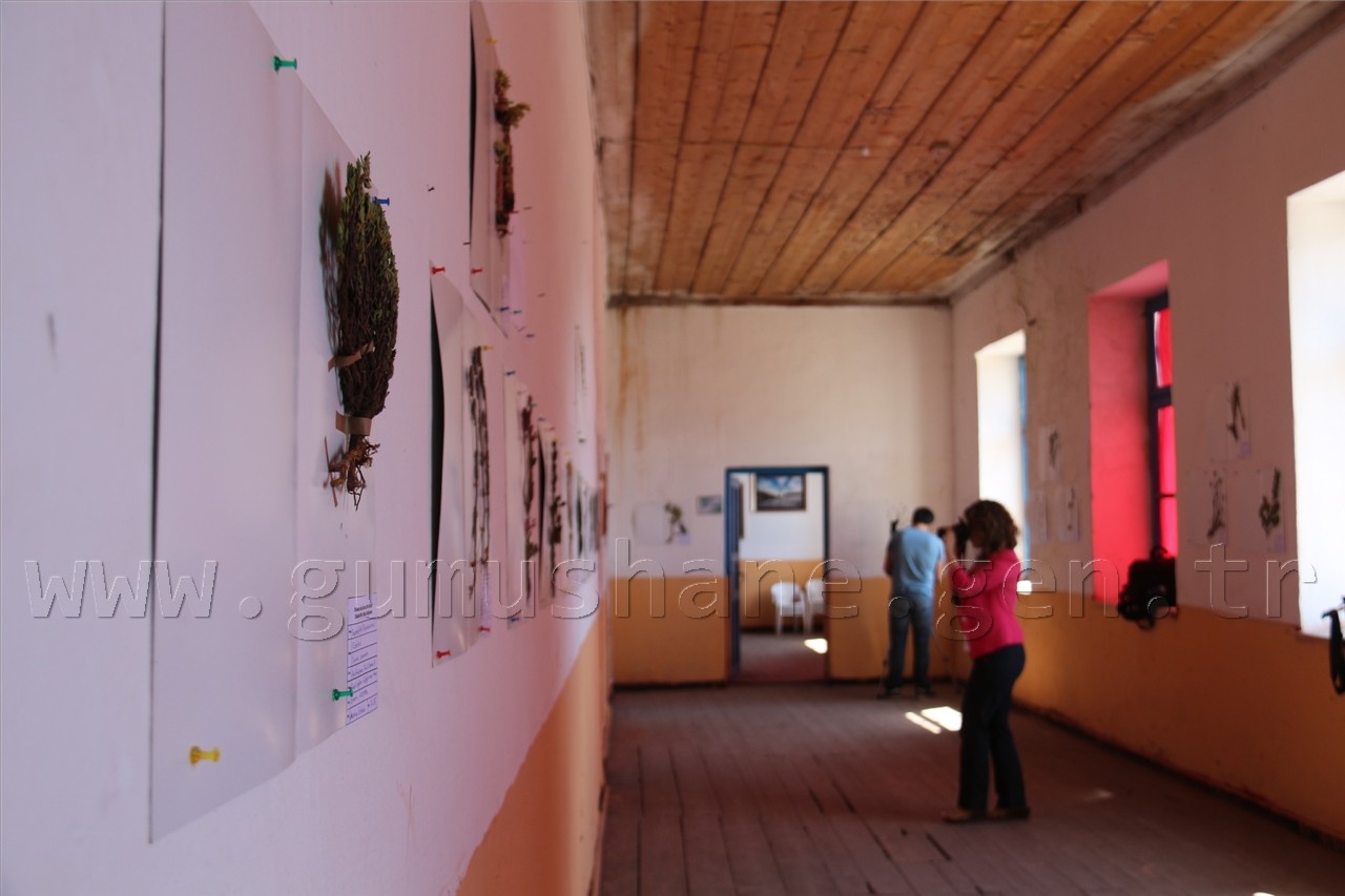 Türkiye’nin 3. Herbaryum Bitki Müzesi Zigana'da Açıldı 5