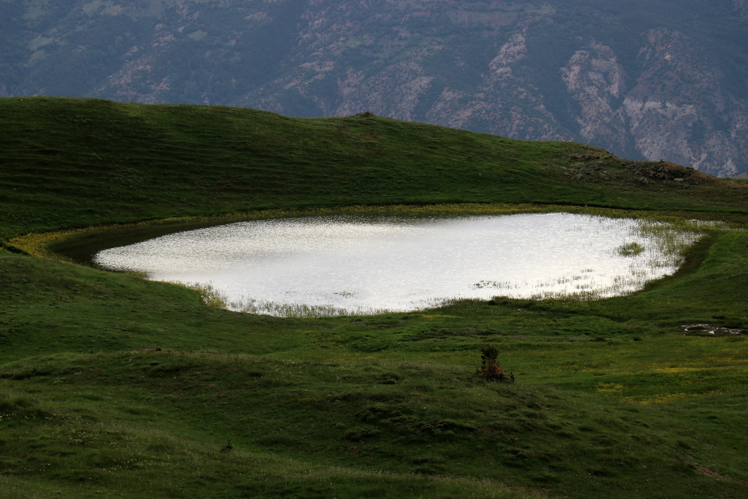 Görenleri bu kez havadan büyüledi 4