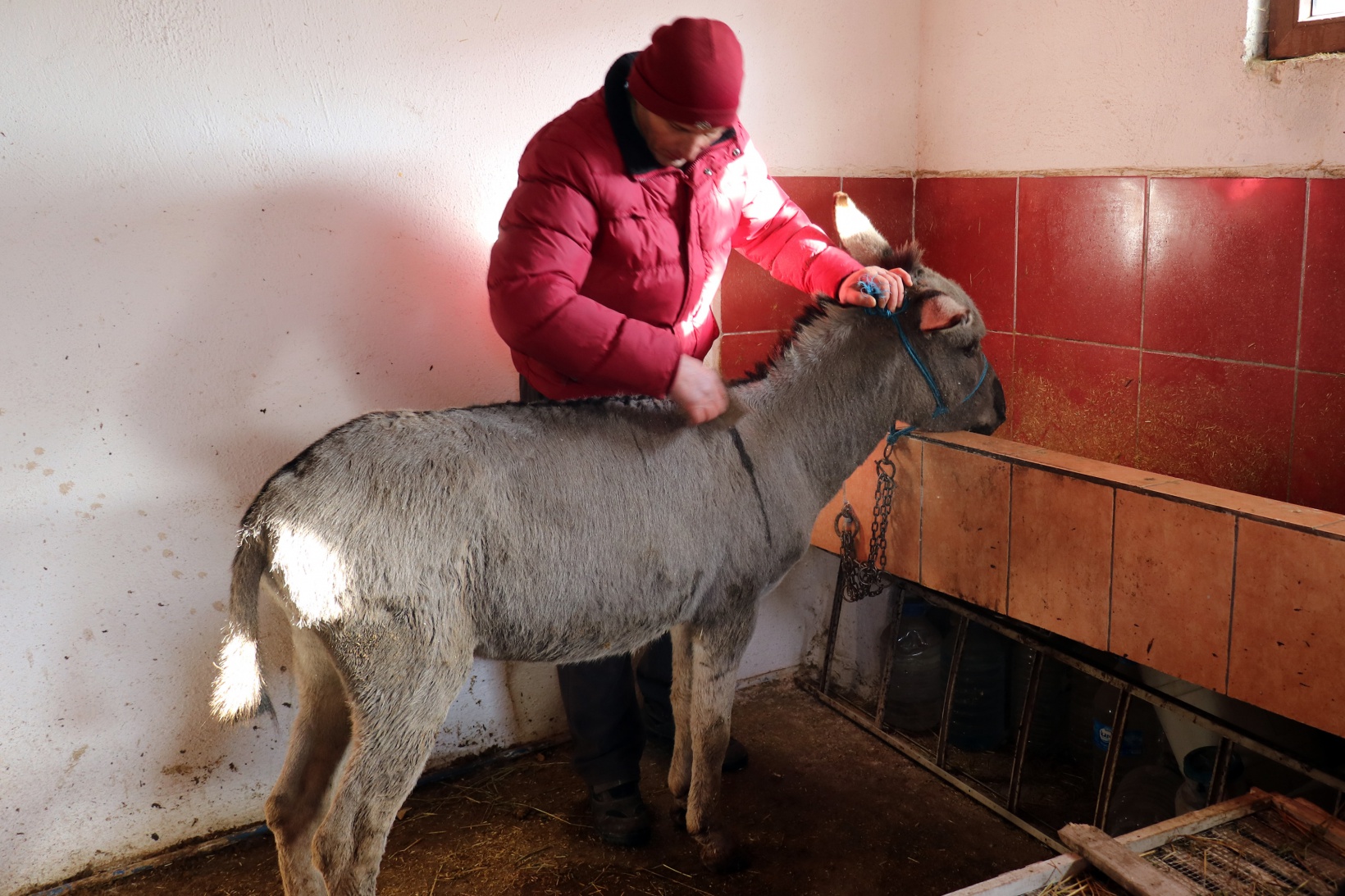 Kendisini 'diplomalı eşek bakıcısı' olarak nitelendiren vatandaştan insanlık dersi 8