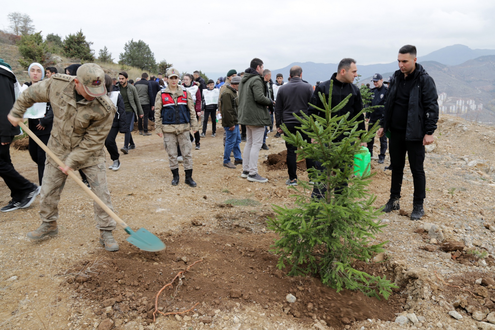 Gümüşhane’de Milli Ağaçlandırma Gününde binlerce fidan toprakla buluştu 6