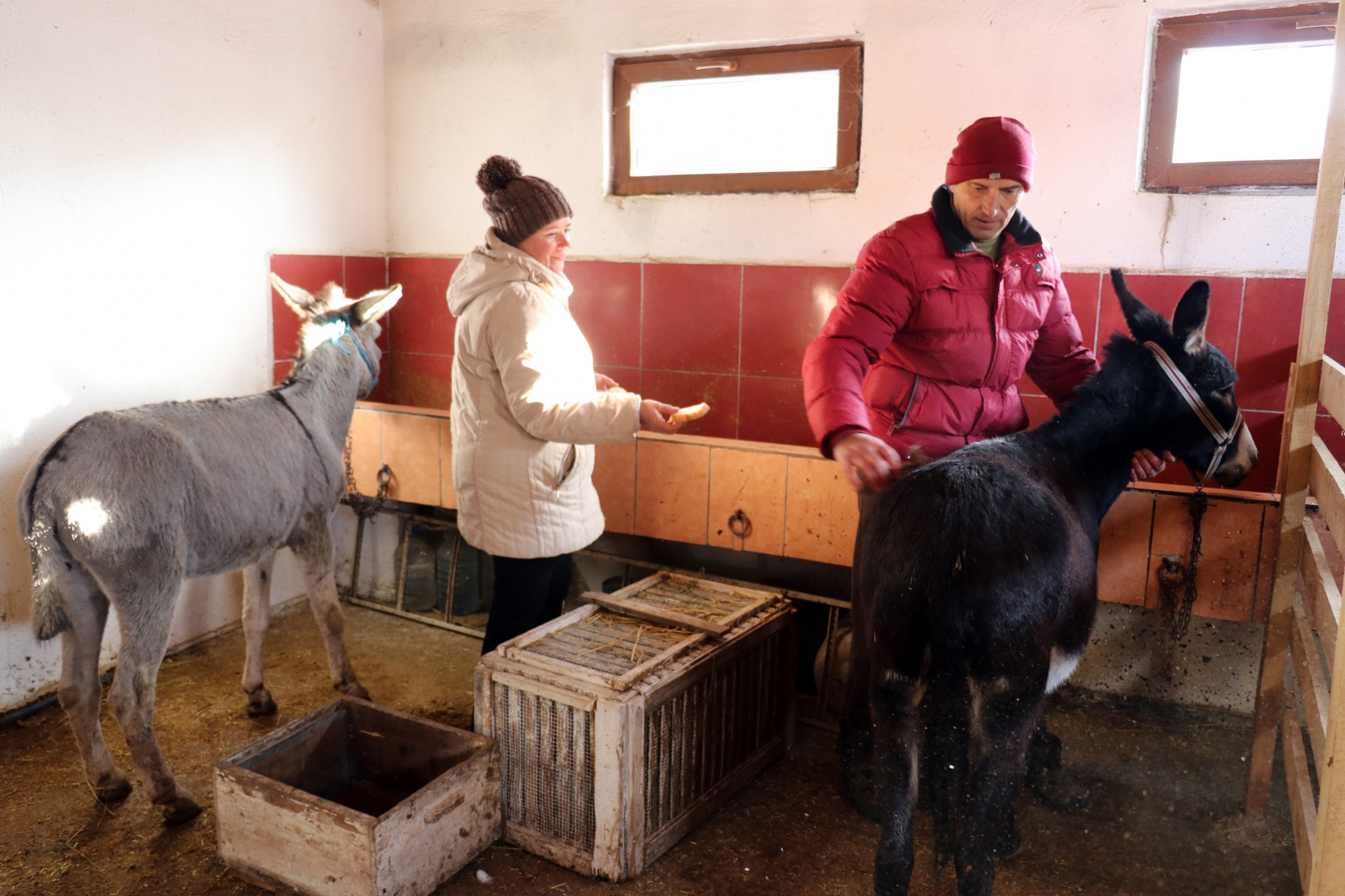 Kendisini 'diplomalı eşek bakıcısı' olarak nitelendiren vatandaştan insanlık dersi 14