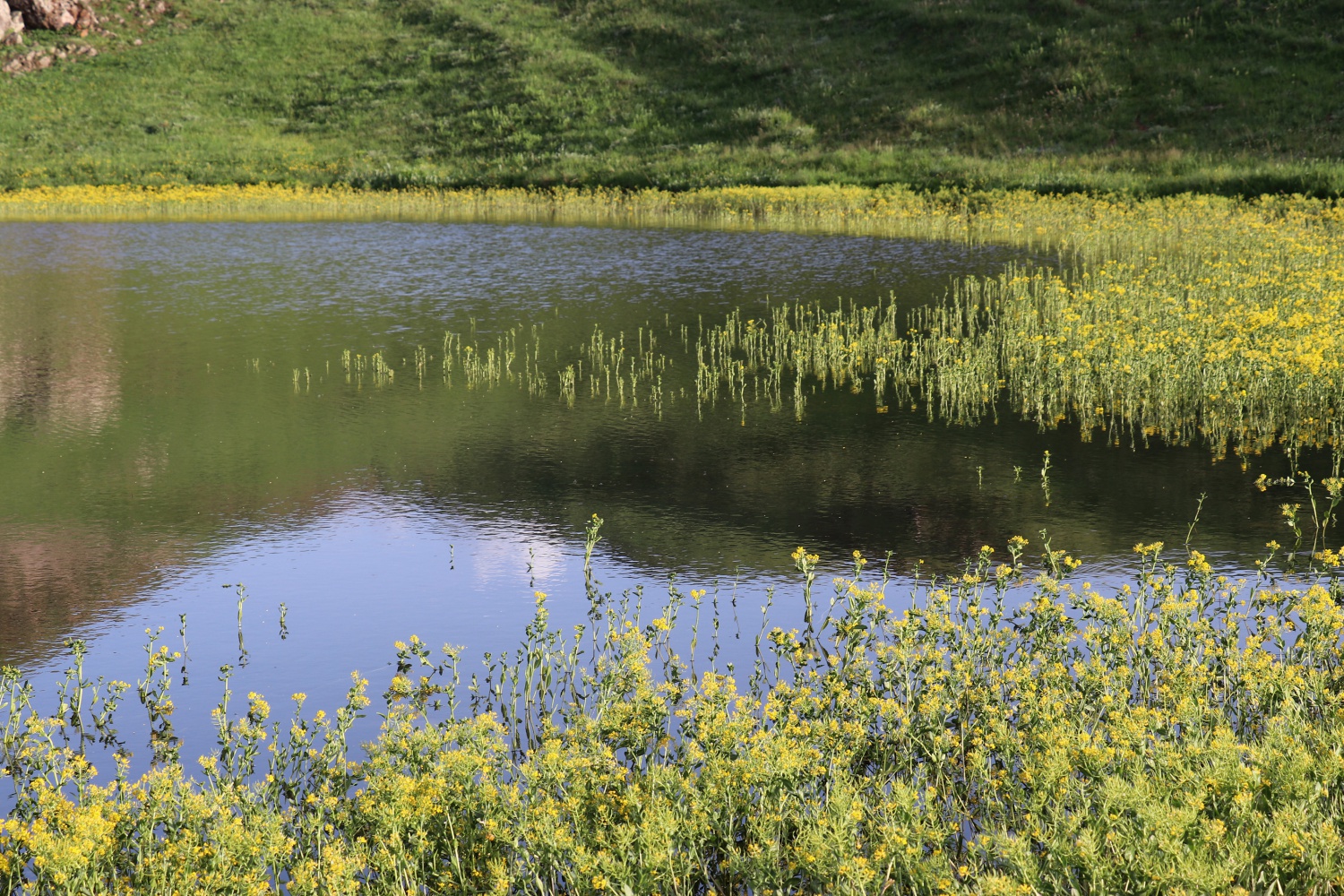 Görenleri bu kez havadan büyüledi 21