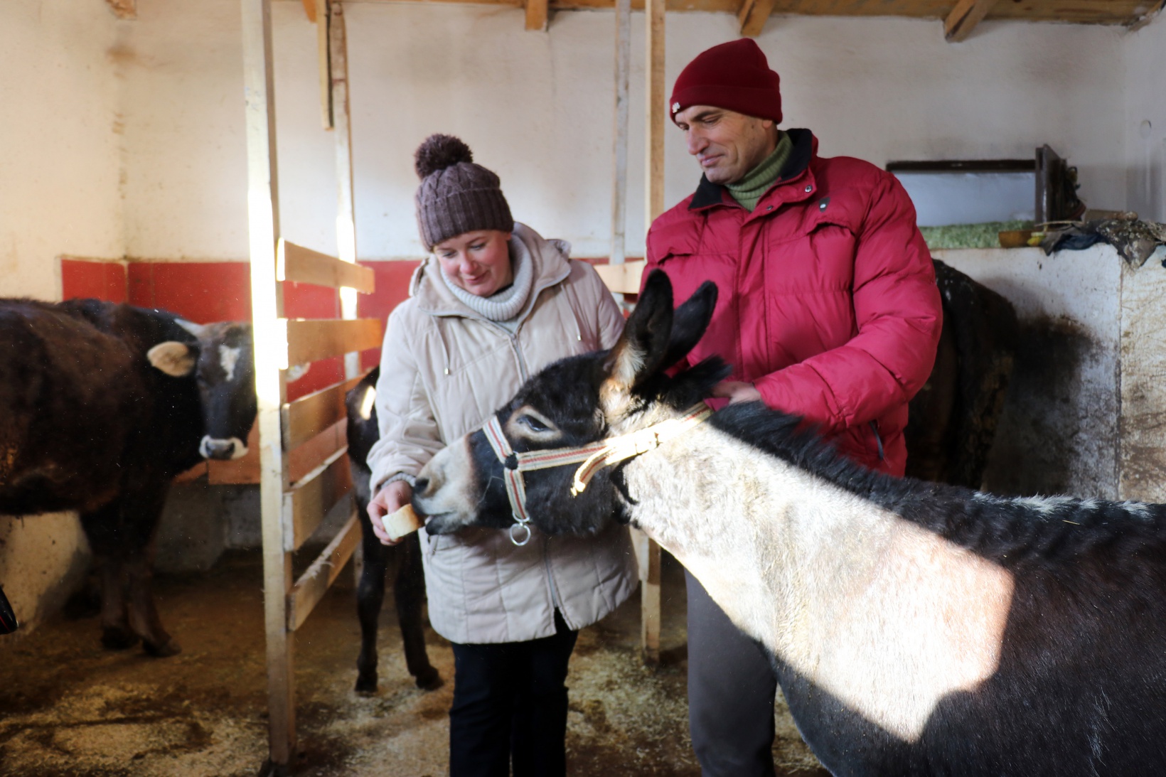 Kendisini 'diplomalı eşek bakıcısı' olarak nitelendiren vatandaştan insanlık dersi 6