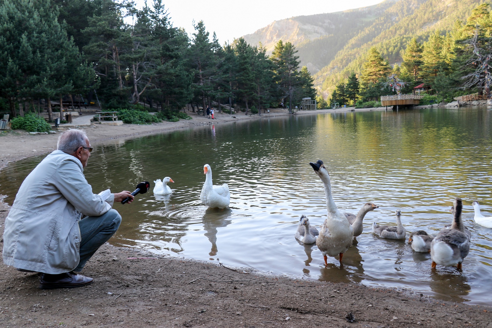 Doğa harikası Limni Gölüne ziyaretçi akını 3