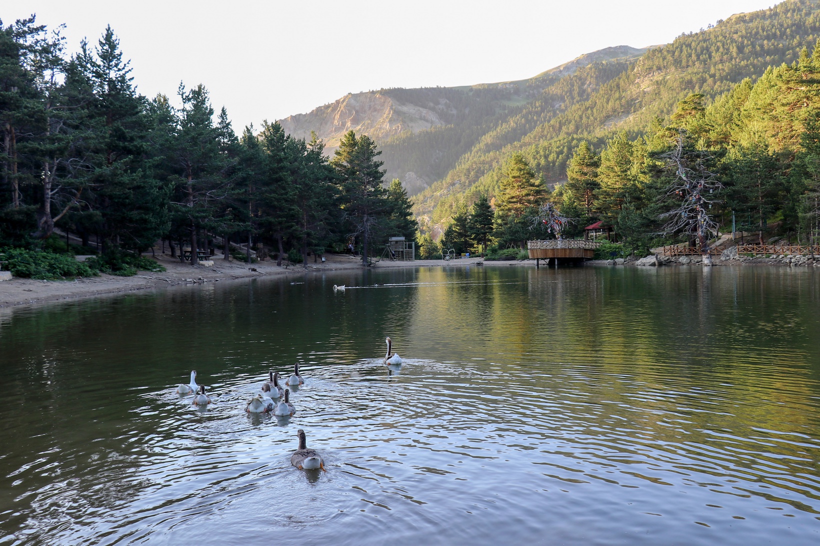 Doğa harikası Limni Gölüne ziyaretçi akını 4