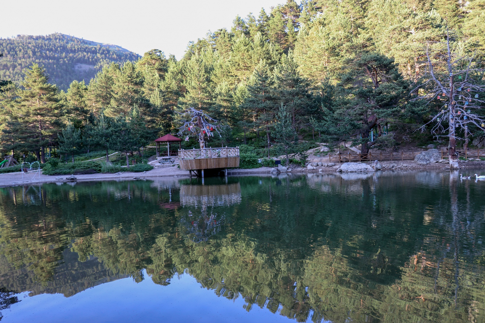Doğa harikası Limni Gölüne ziyaretçi akını 11